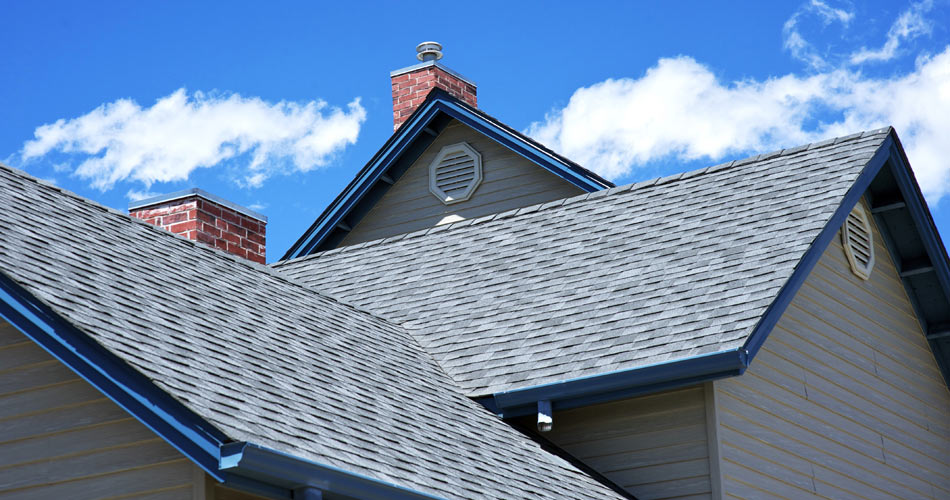 Roof Home Inspection Services